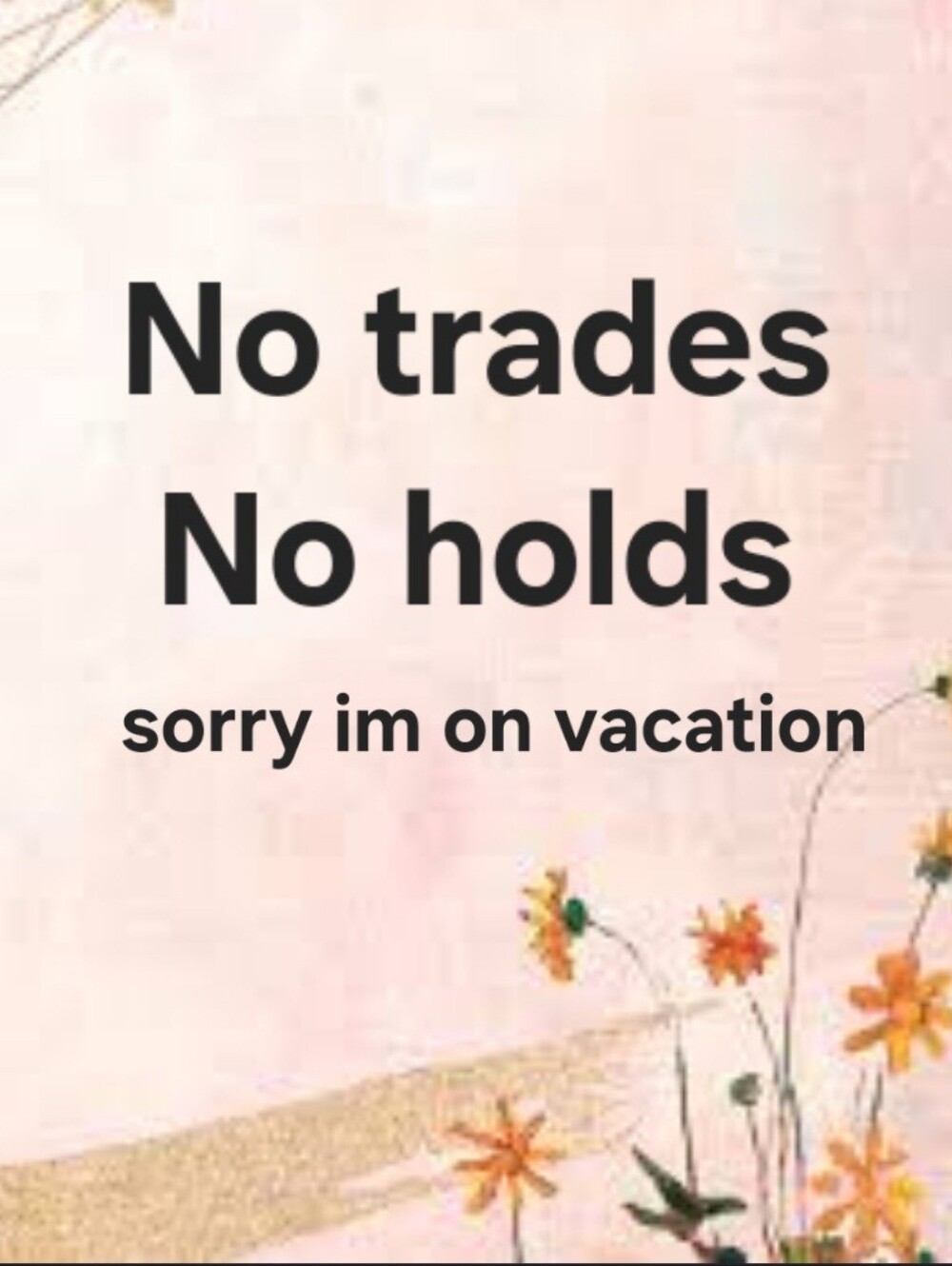 🚨 No Trades No Holds - On Vacation